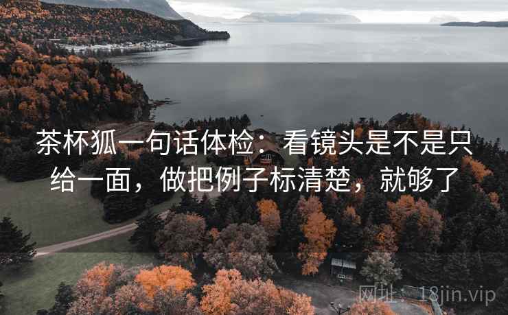 茶杯狐一句话体检：看镜头是不是只给一面，做把例子标清楚，就够了